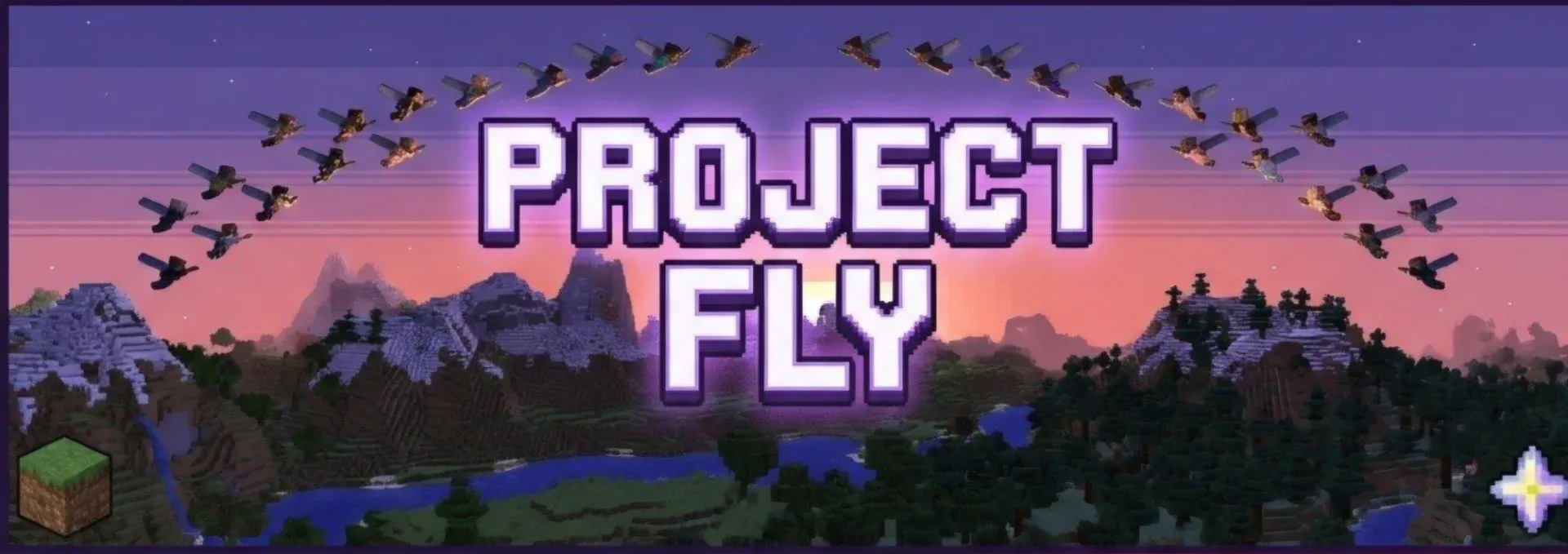 Project FLY