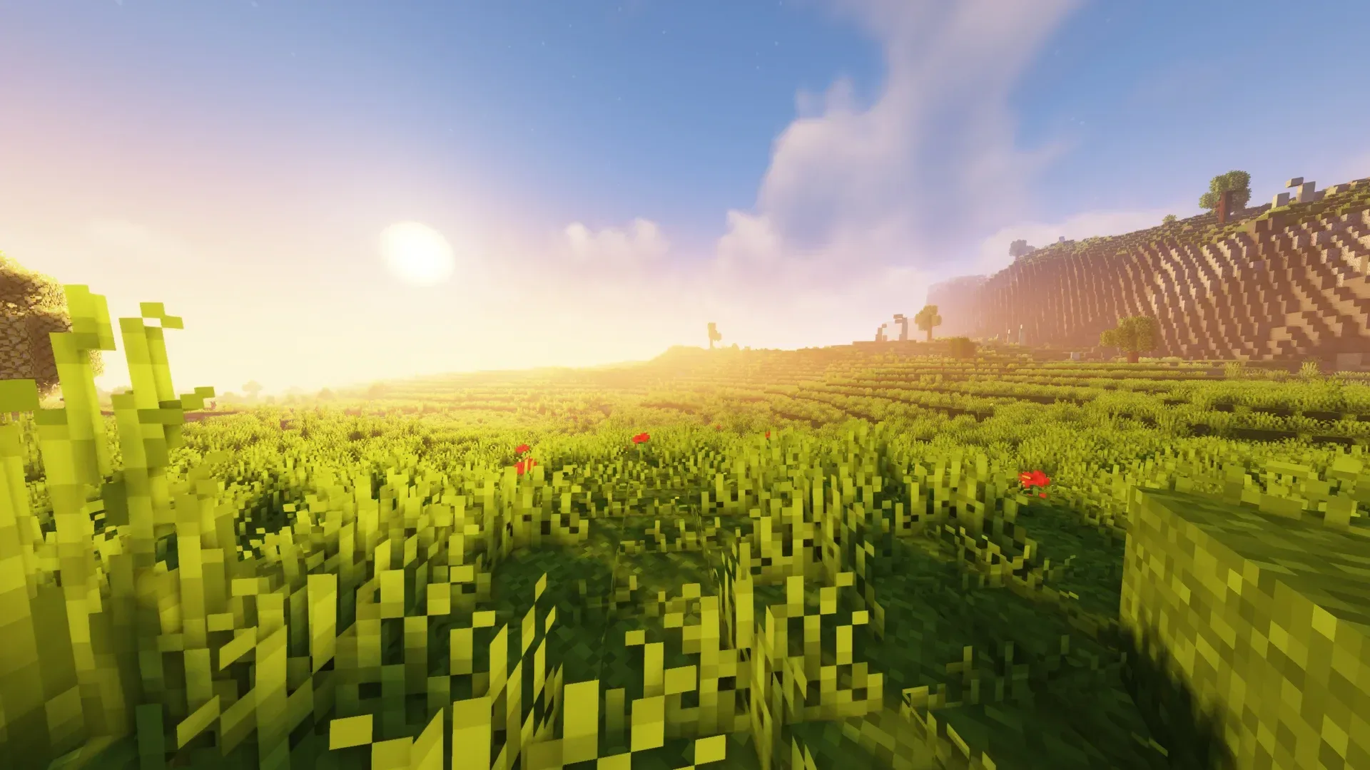 AdeniumCraft — сервер Minecraft