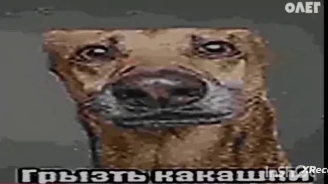 7пдment — сервер Minecraft