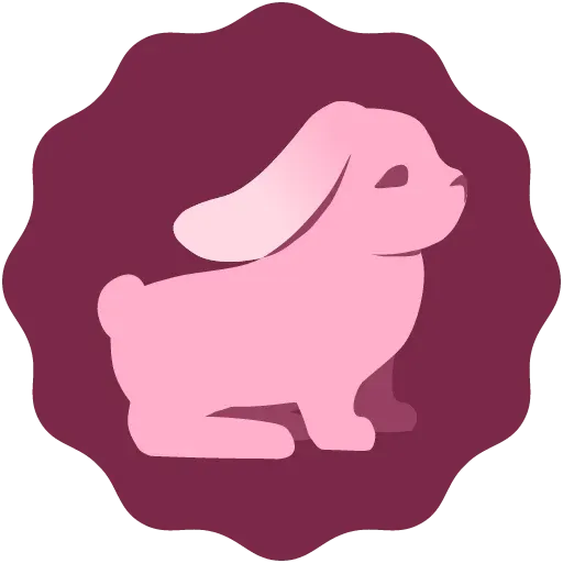BunnyNetwork
